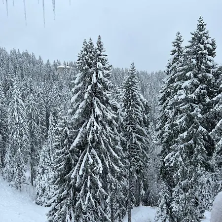 Kamena Отель 3*